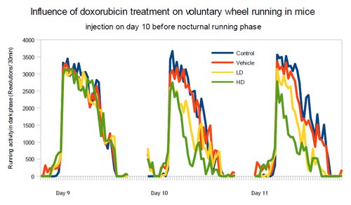 Influence of doxorubicin treatment