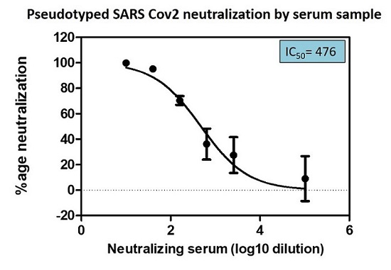 20201124_serum-neutralization-of-psv_sm
